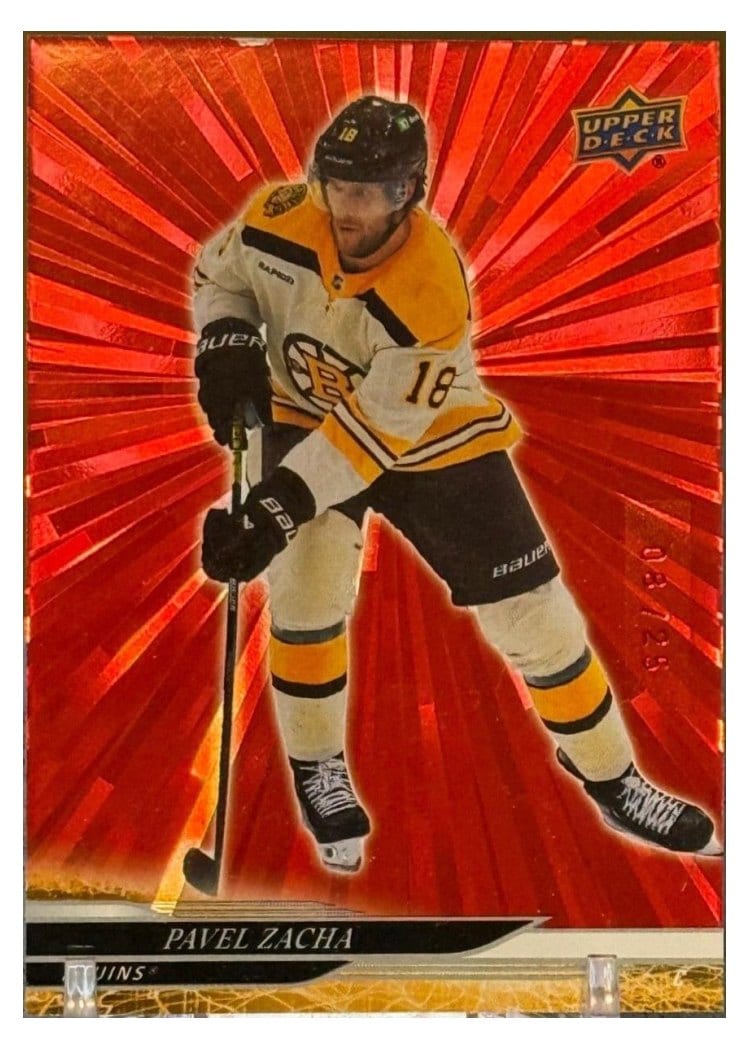 2024-25 Upper Deck Base Set Pavel Zacha #21 card