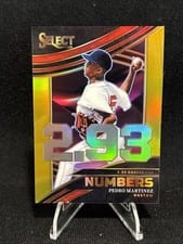 2024 Panini Select Select Numbers Pedro Martinez #1 card