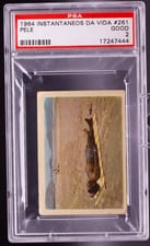 1964 Instantaneos DA Vida Do Rei Pele Pele #261 card