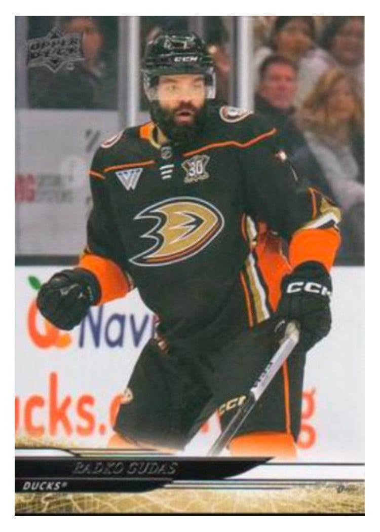 2024-25 Upper Deck Base Set Radko Gudas #252 card