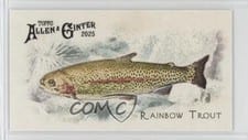 2025 Topps Allen & Ginter 50 Fish From Global Waters (Minis) Rainbow Trout #FGW-34