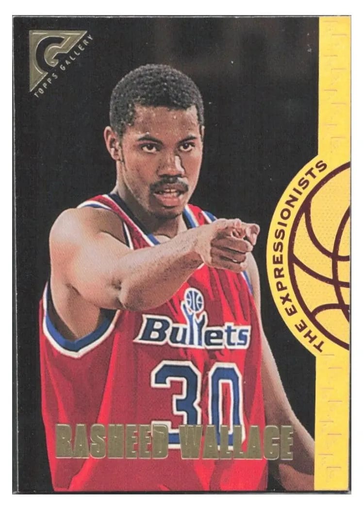 1995 Topps Gallery Expressionists Rasheed Wallace #EX8 card