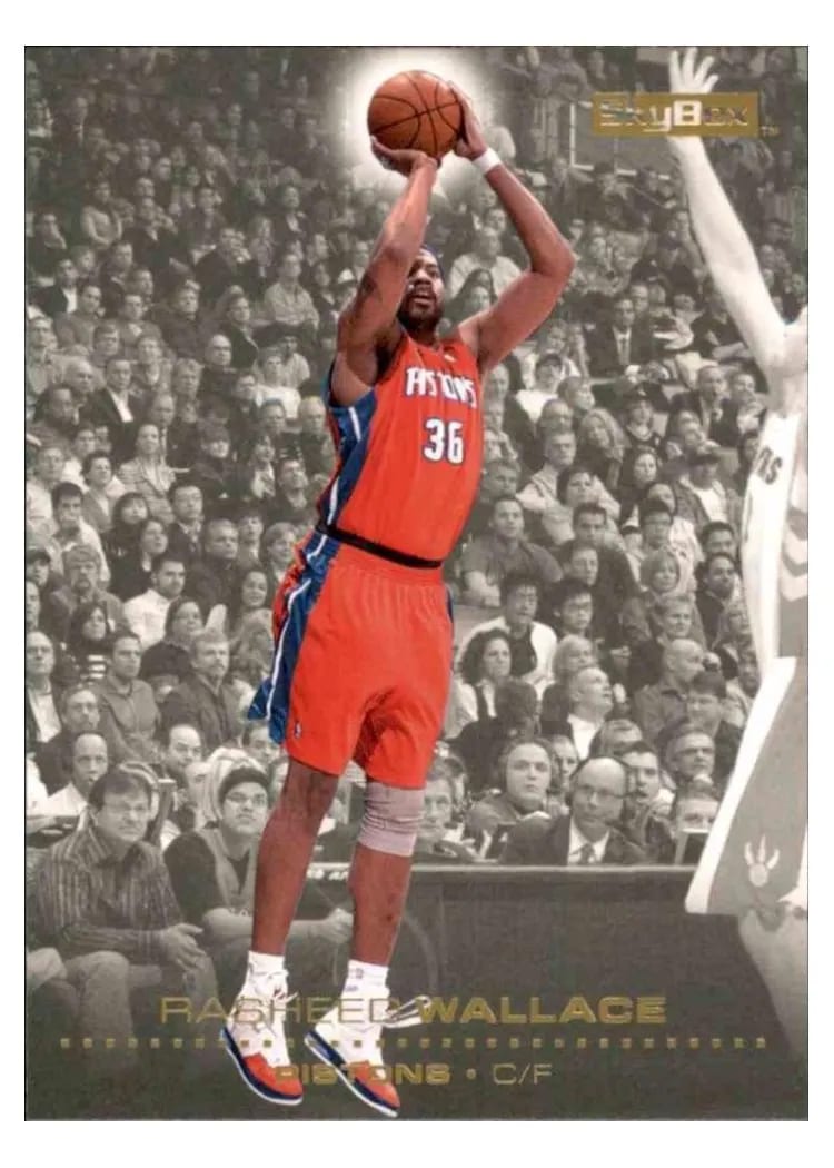 2008 Skybox Rasheed Wallace #44 card