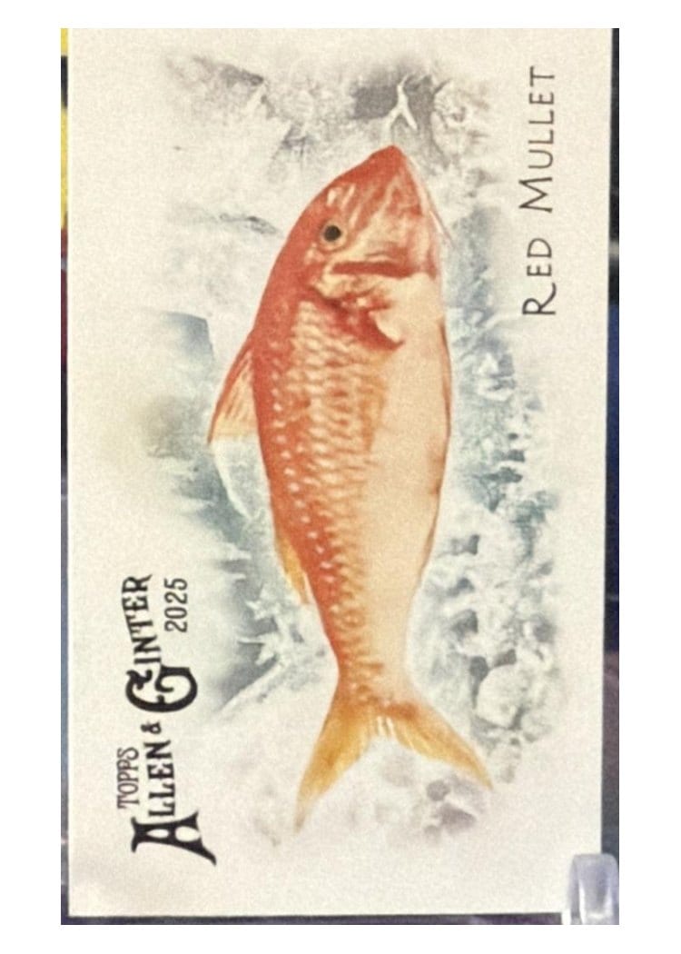 2025 Topps Allen & Ginter 50 Fish From Global Waters (Minis) Red Mullet #FGW-43 card