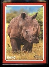 2024 Topps Heritage 1975 Topps Zoo's Who Stick-Ons Rhino #75Z-16 card