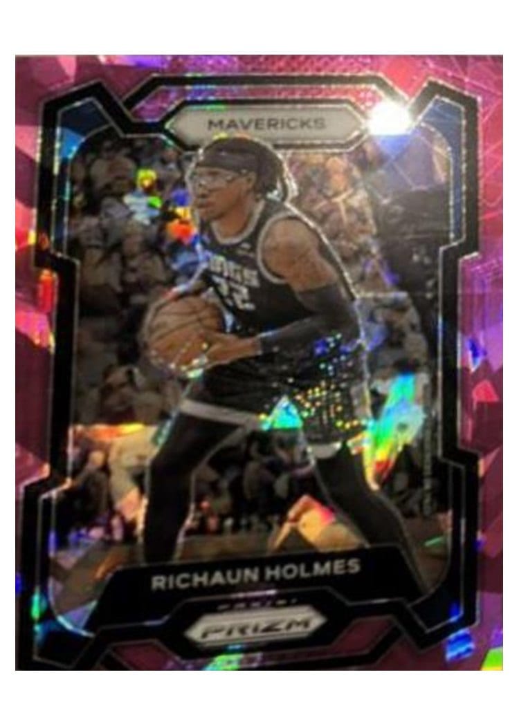 2023-24 Panini Prizm Base Set Richaun Holmes #212 card