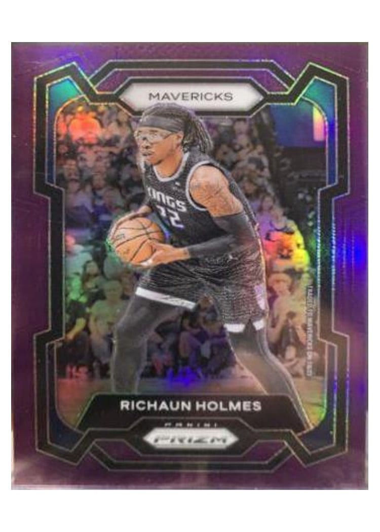 2023-24 Panini Prizm Base Set Richaun Holmes #212 card