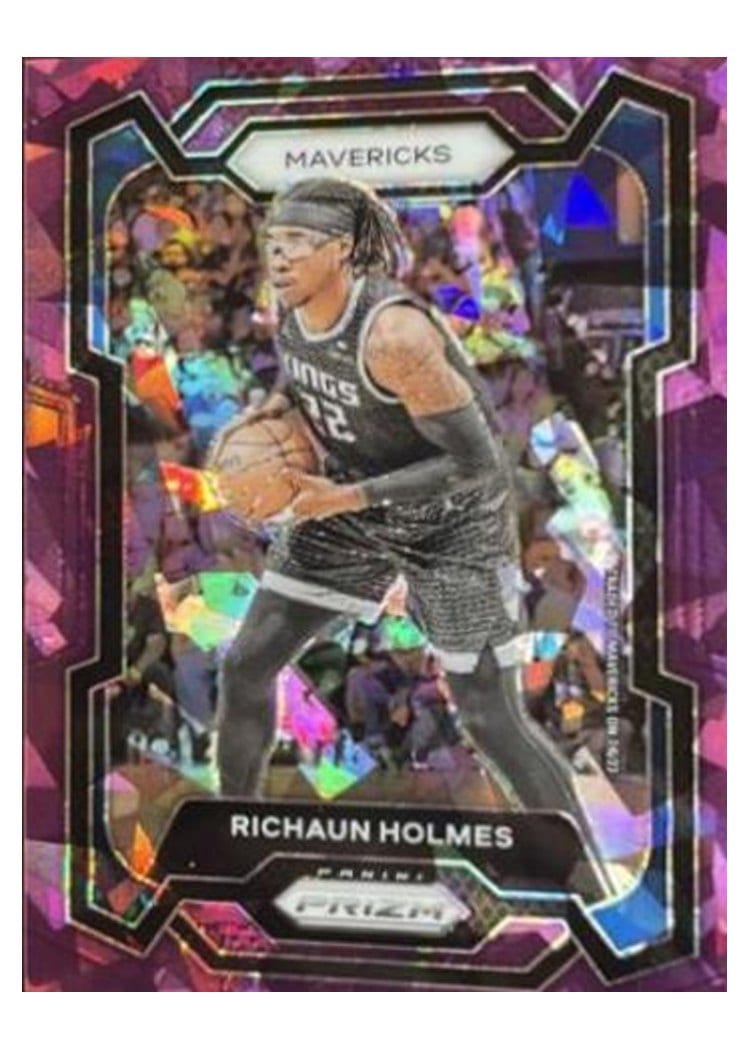 2023-24 Panini Prizm Base Set Richaun Holmes Purple Ice #212 card