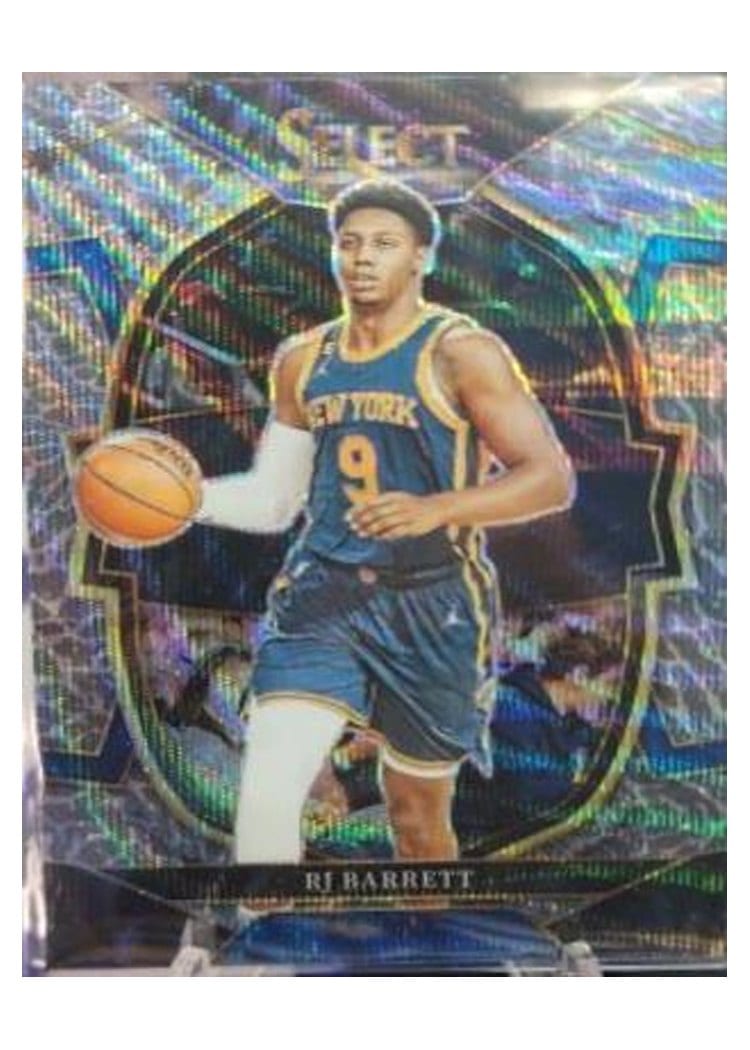 2022-23 Panini Select Base Set RJ Barrett Elephant Prizm #33 card