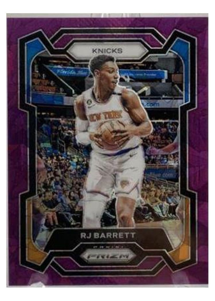 2023-24 Panini Prizm Base Set RJ Barrett #263 card