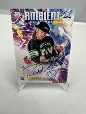 2025 Topps Exalted WWE Wrestling Ambient Autographs Road Dogg Jesse James #AMA-RDJ card