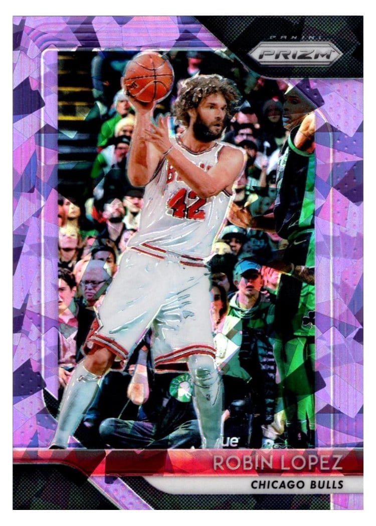 2018-19 Panini Prizm Base Set Robin Lopez #120 card