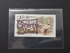 2025 Topps Allen & Ginter State Birds (Minis) Ruffed Grouse - Pennsylvania #SB-38 card