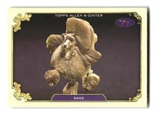2024 Topps Allen & Ginter Stars of the Show The Westminster Kennel Club Sage #SOS-27 card