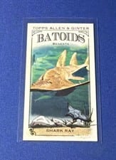 2024 Topps Allen & Ginter Mini Batoids Beneath Shark Ray #RITW-10 card
