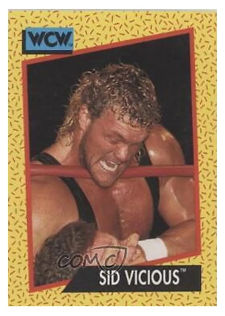 1991 Impel WCW Sid Vicious #29 card