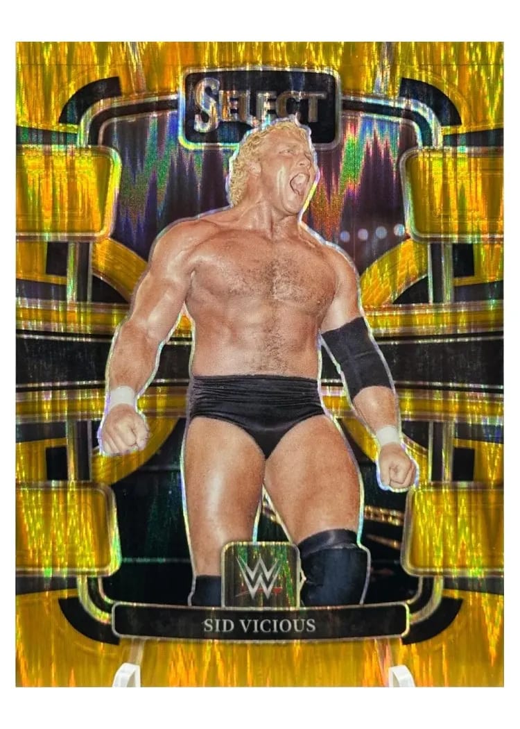 2024 Panini Select WWE Sid Vicious #35 card
