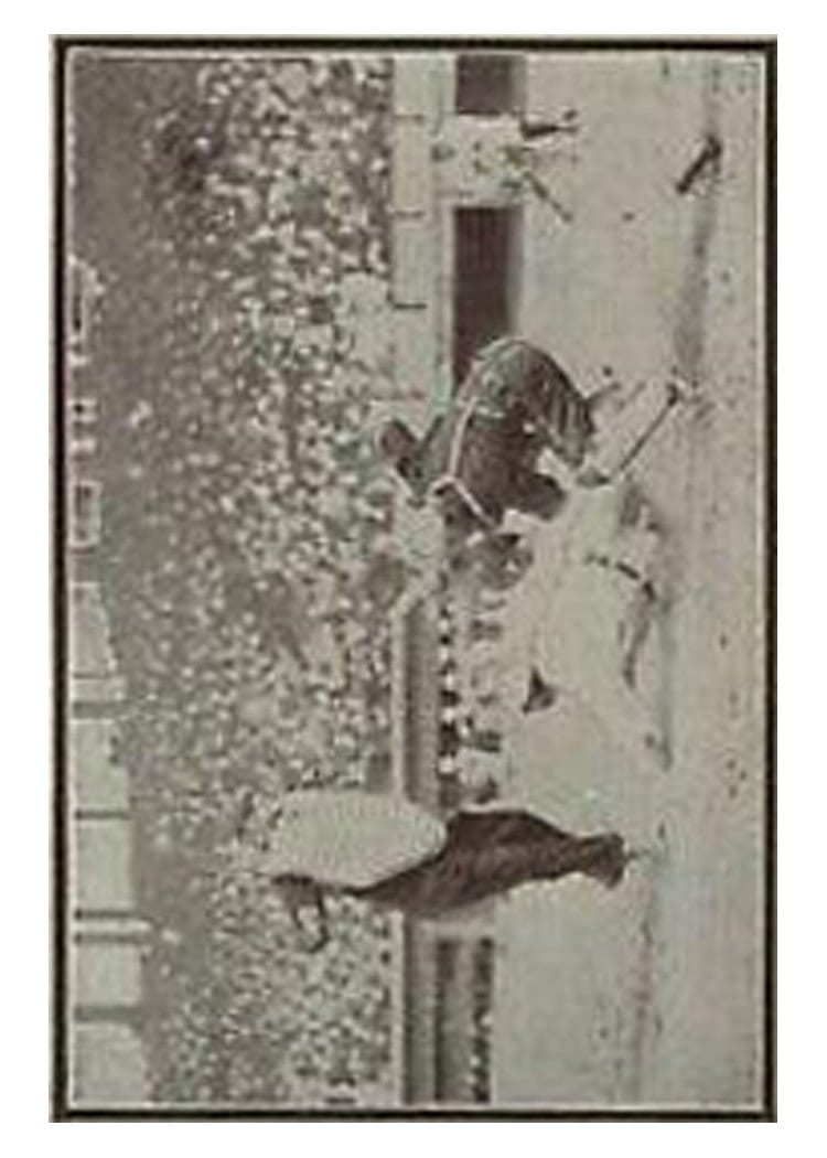 1913 Tom Barker Game Sliding Into Home Umpire at Left card