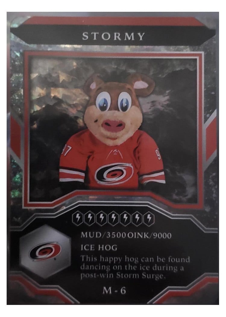 2021-22 Upper Deck MVP Mascot Gaming Cards Stormy #M-6 card