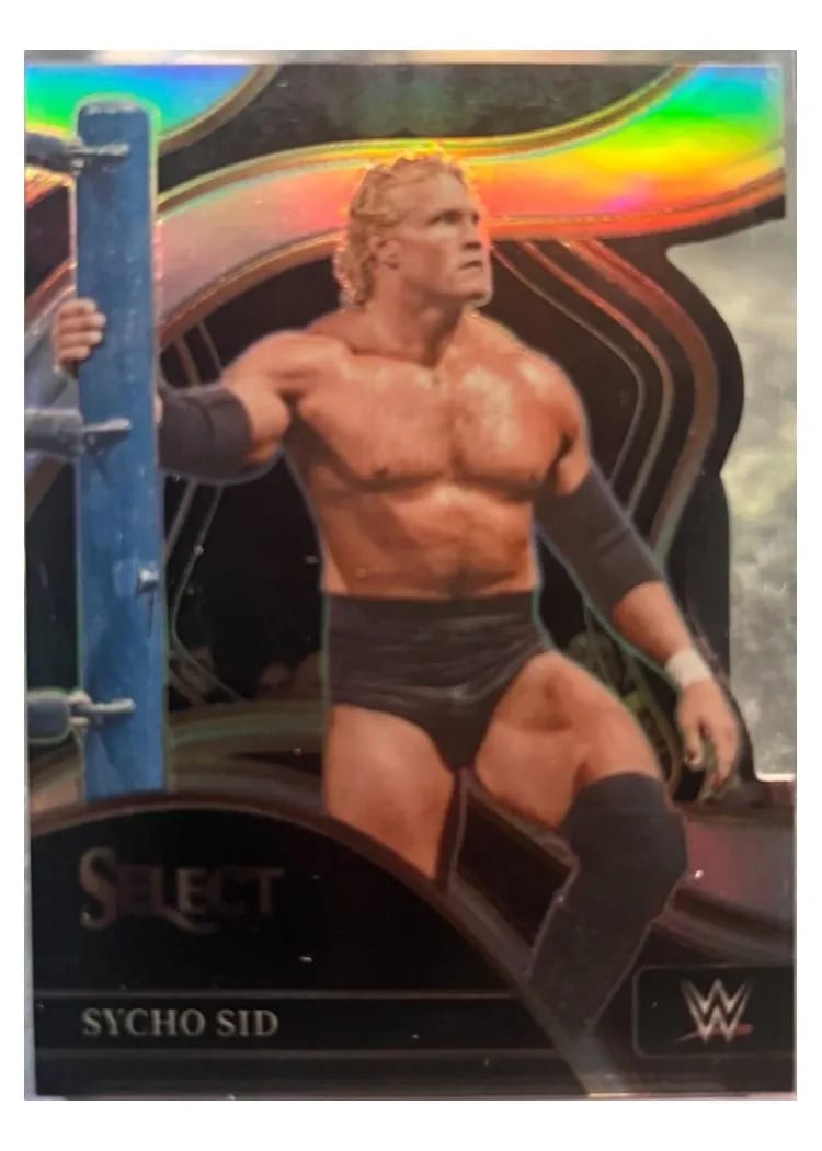 2024 Panini Select WWE Sycho Sid #233 card