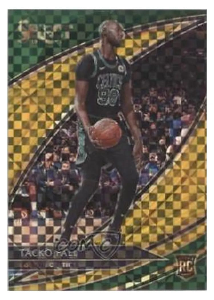 2019 Panini Select Tacko Fall #217 card