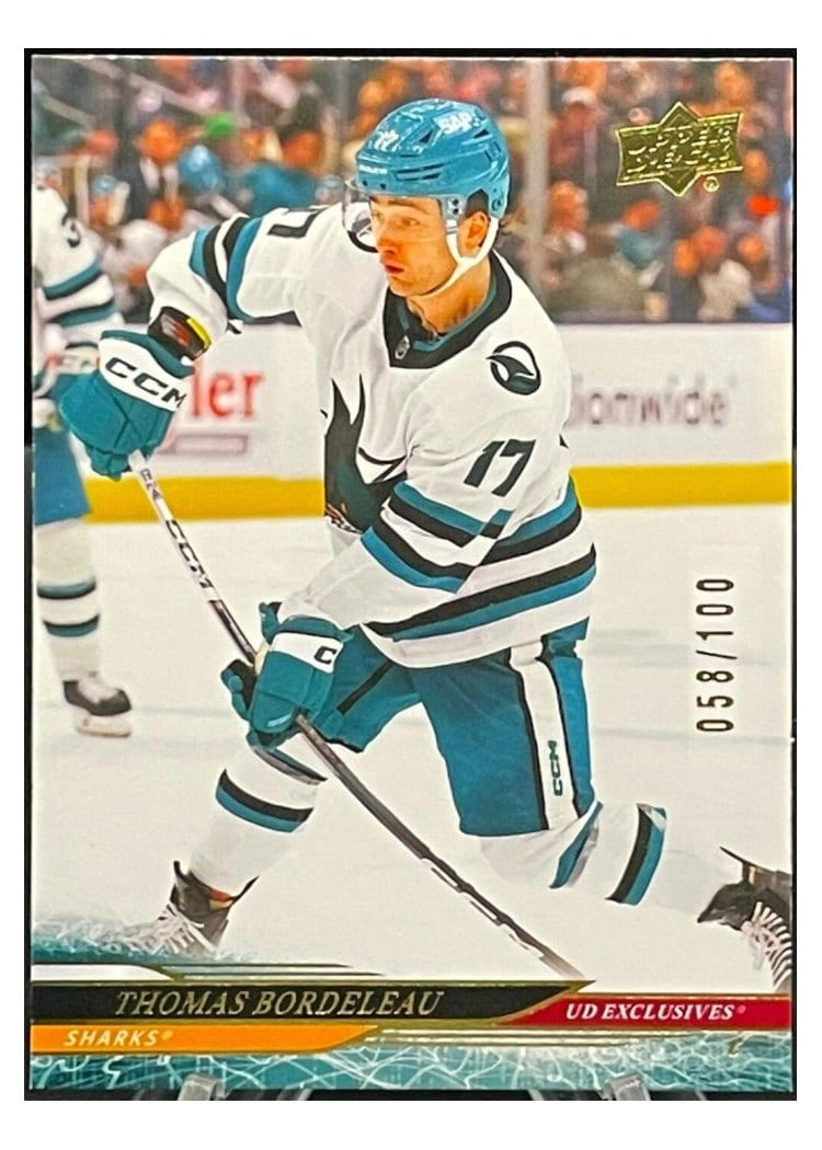 2024-25 Upper Deck Base Set Thomas Bordeleau #388 card