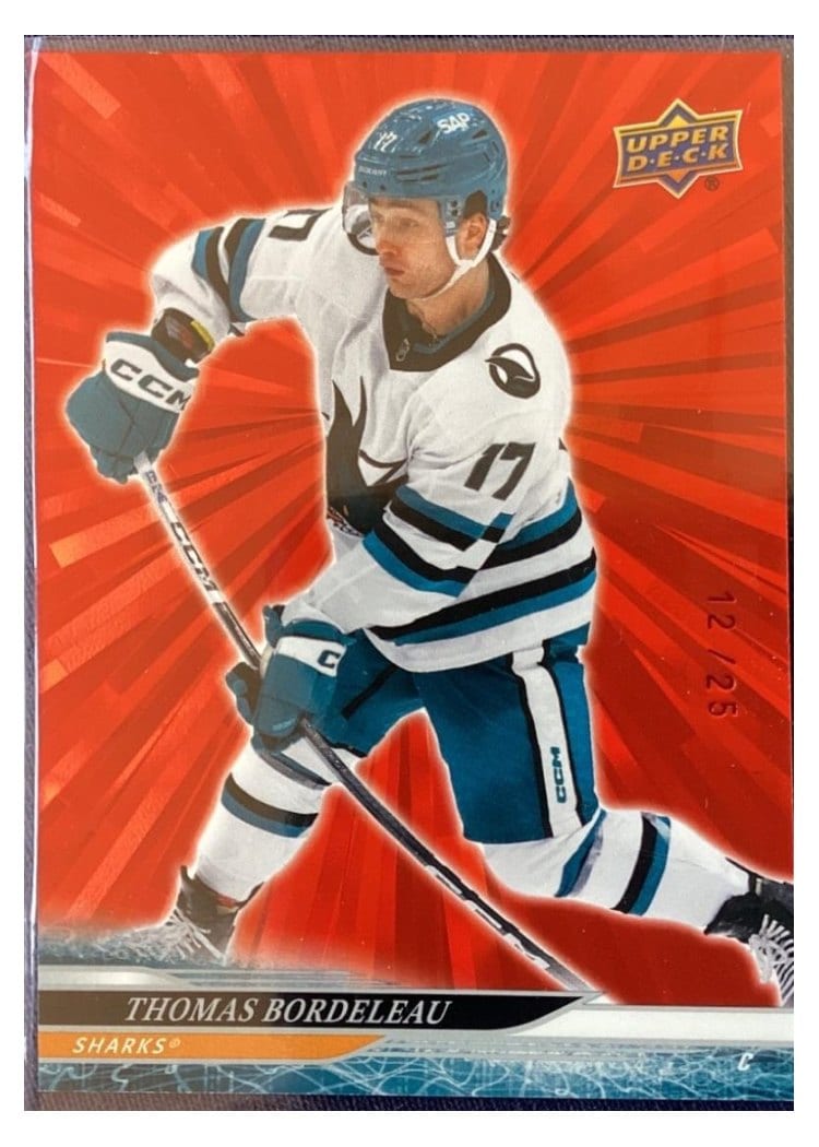 2024-25 Upper Deck Base Set Thomas Bordeleau #388 card