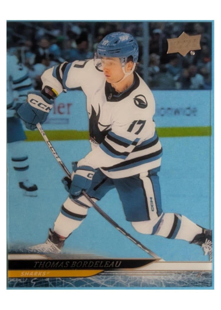 2024-25 Upper Deck Base Set Thomas Bordeleau #388 card