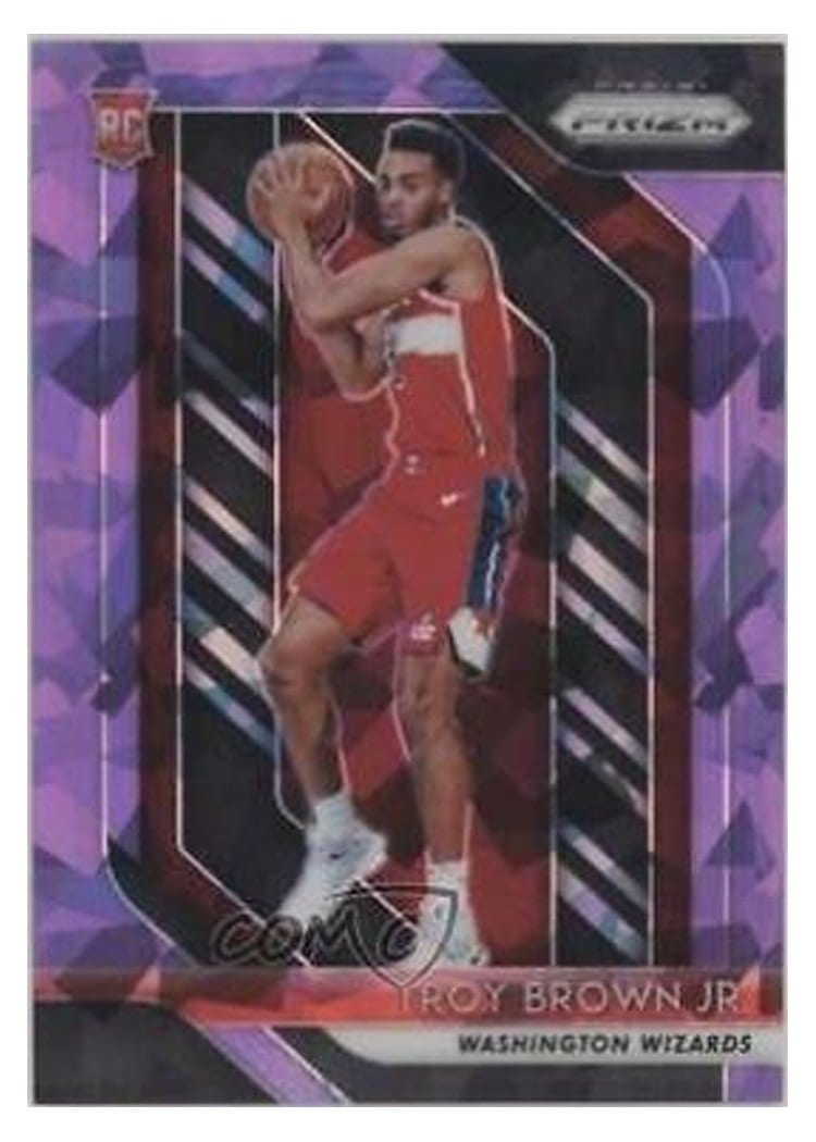 2018-19 Panini Prizm Base Set Troy Brown Jr. #213 card