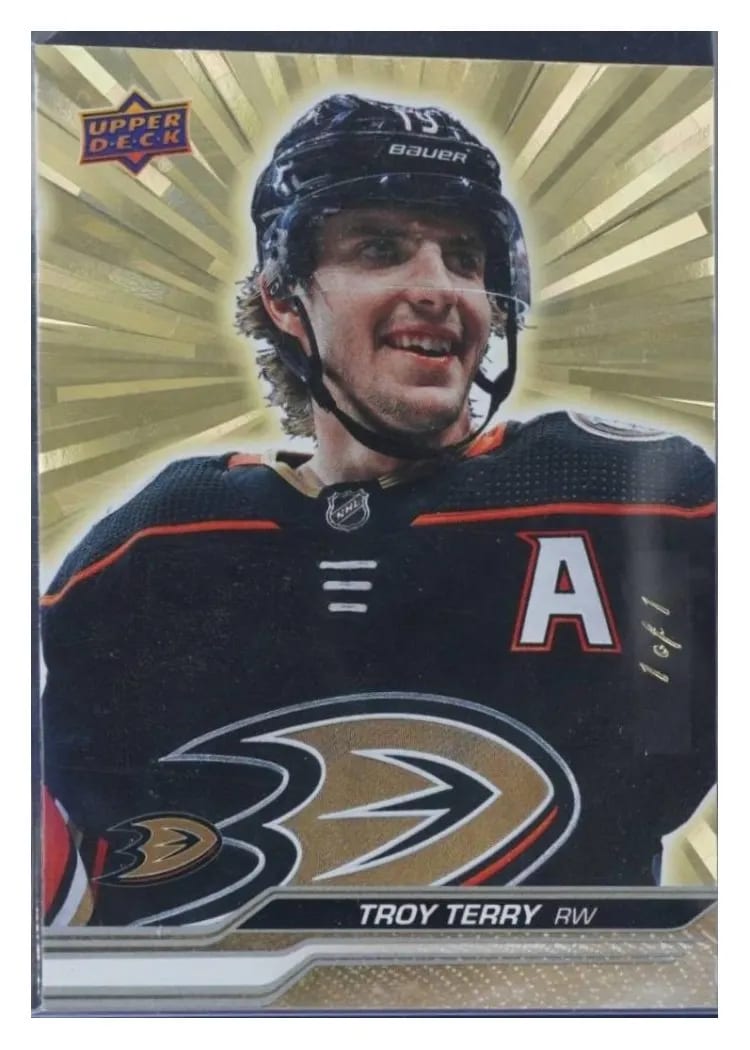 2023-24 Upper Deck Base Set Troy Terry #252 card