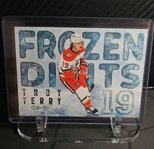 2025-26 O-Pee-Chee Frozen Digits Troy Terry #FD-19 card