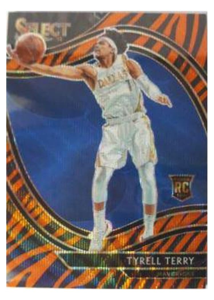 2020-21 Panini Select Base Set Tyrell Terry #270 card