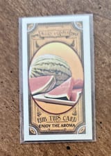 2024 Topps Allen & Ginter Got the Itch Mini Watermelon #GTI-18 card