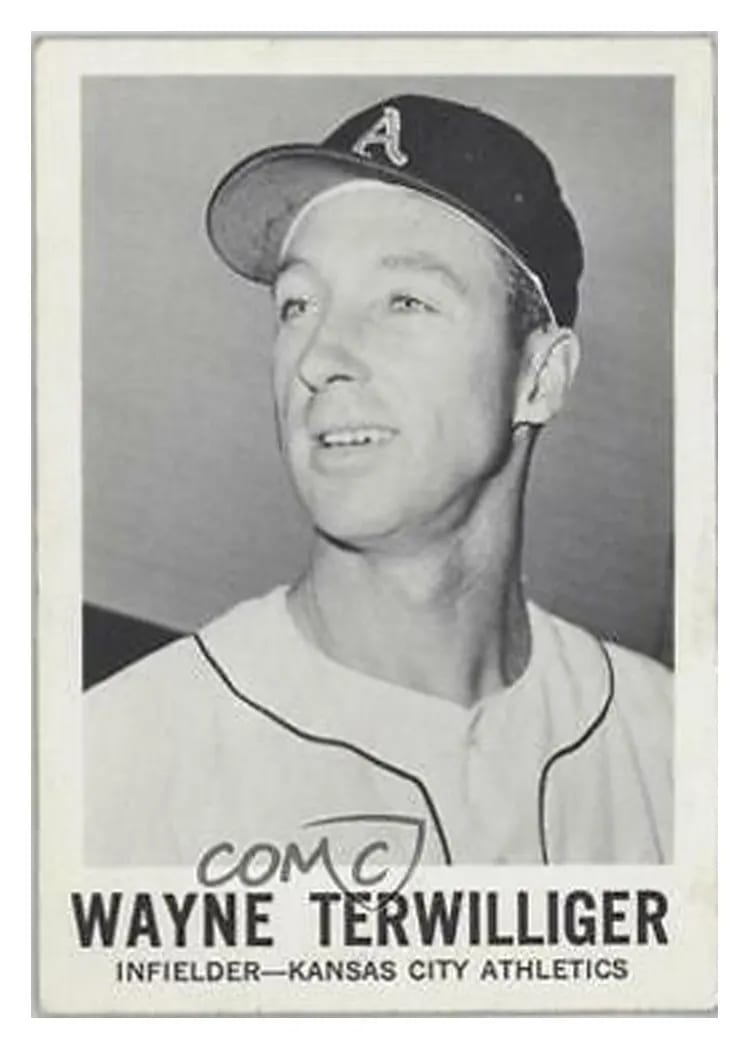 1960 Leaf Wayne Terwilliger #134 card
