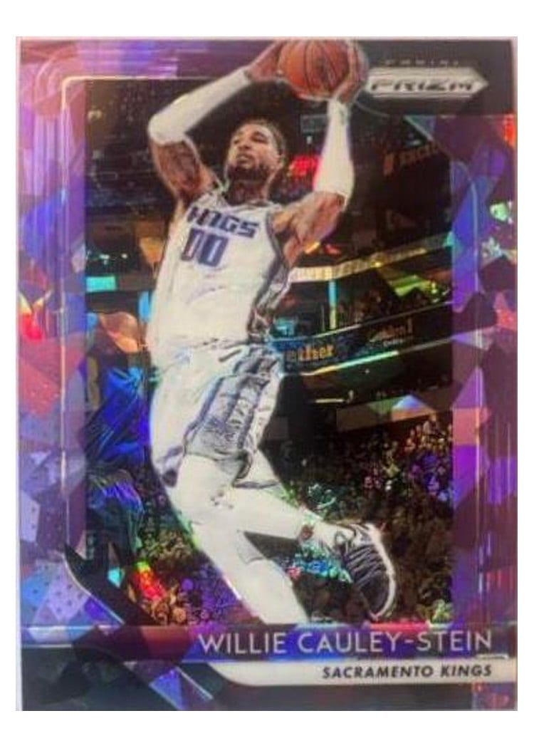 2018-19 Panini Prizm Base Set Willie Cauley-Stein #221 card