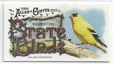 2025 Topps Allen & Ginter State Birds (Minis) Willow Goldfinch - Washington #SB-47 card